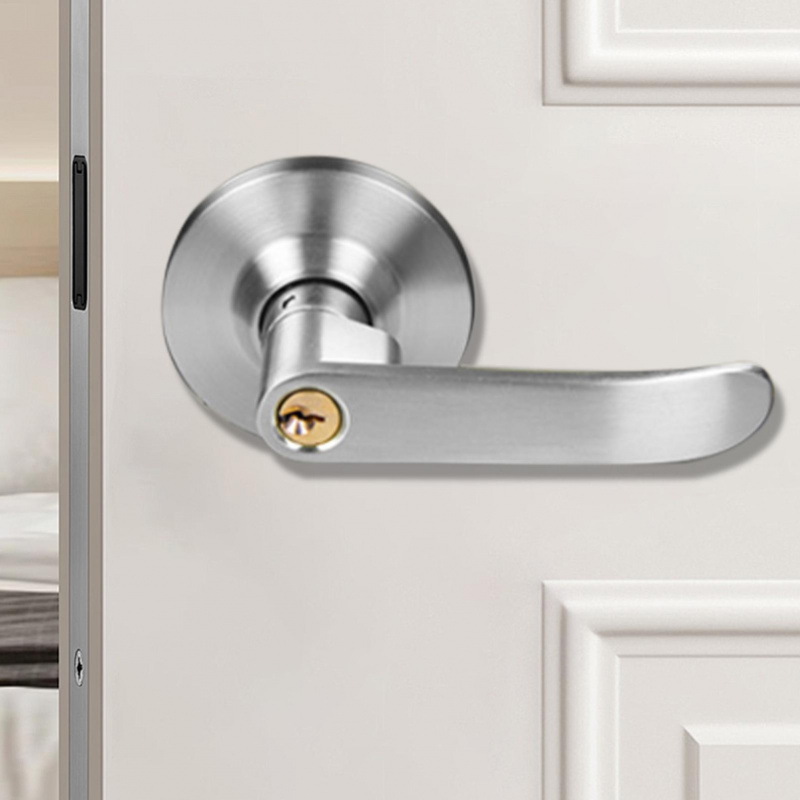 Cerradura de Palanca para Puer - Home Security Essential reseña y precio
