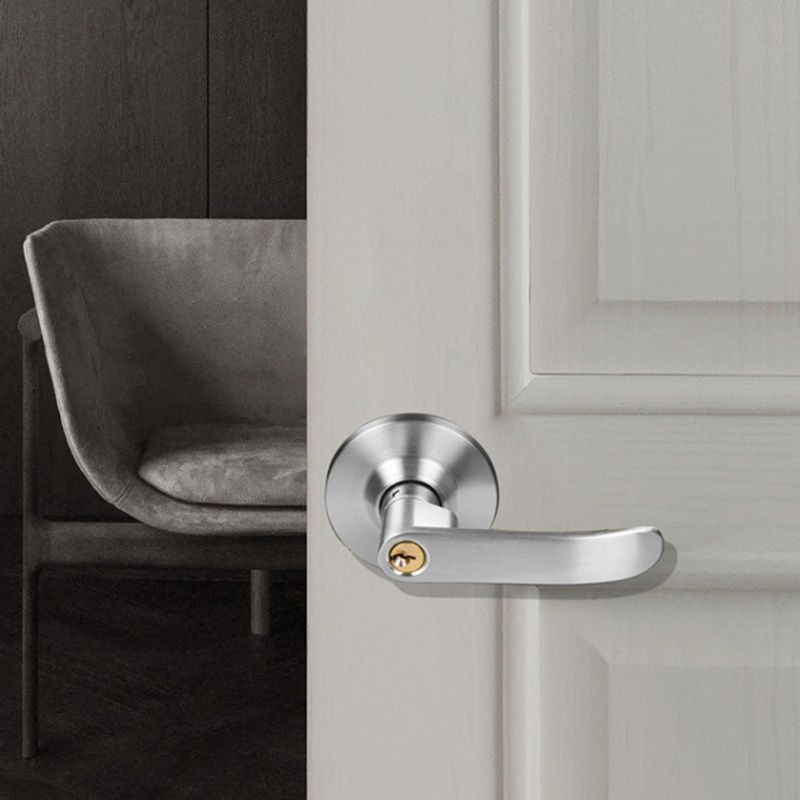 Cerradura de Palanca para Puer - Home Security Essential reseña y precio