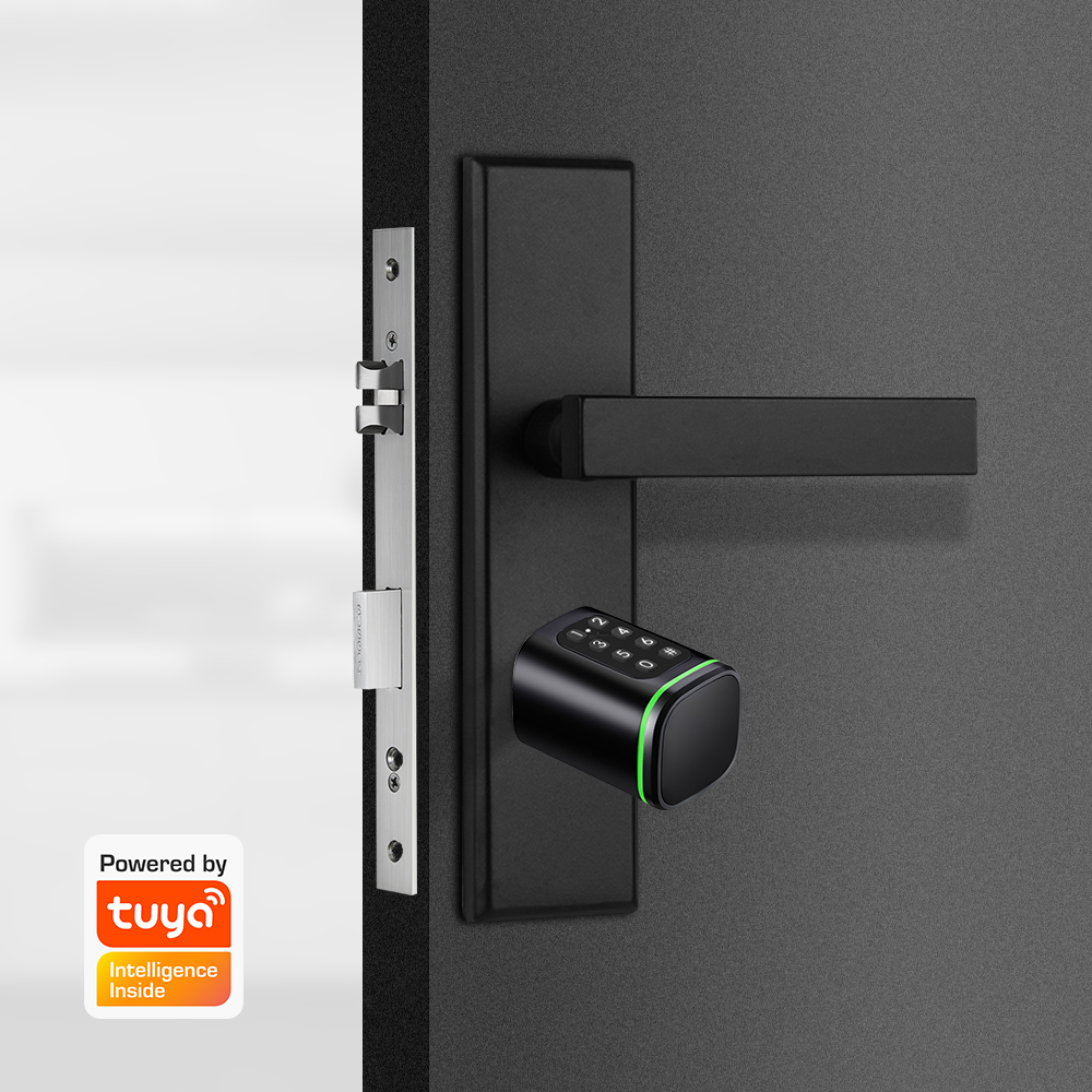 Cerradura de cilindro intelige - Home Security Essential reseña y precio