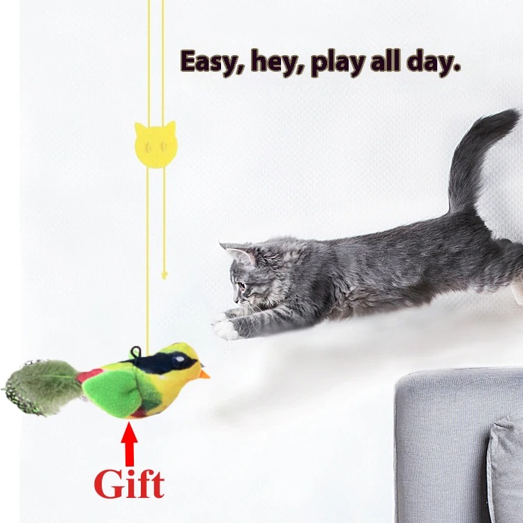 Enabot EBO SE cámara Robot par - Home Security Robot Dog reseña y precio